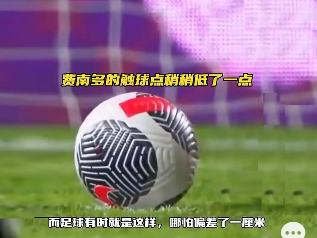 胜利的球员