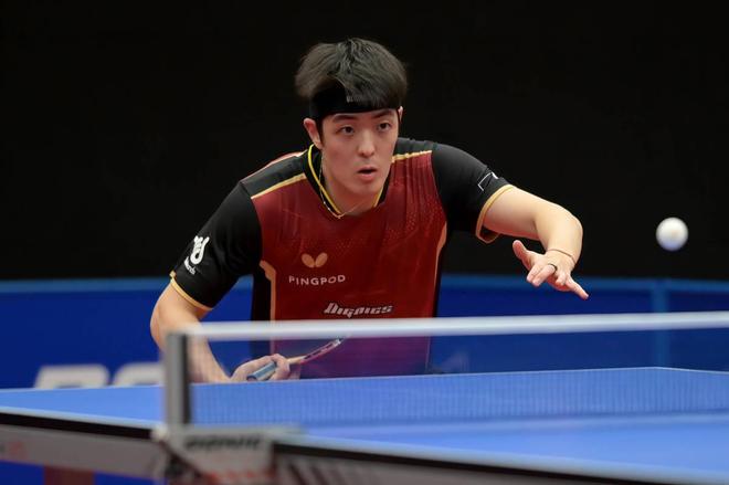 作为技术领 作为技术领